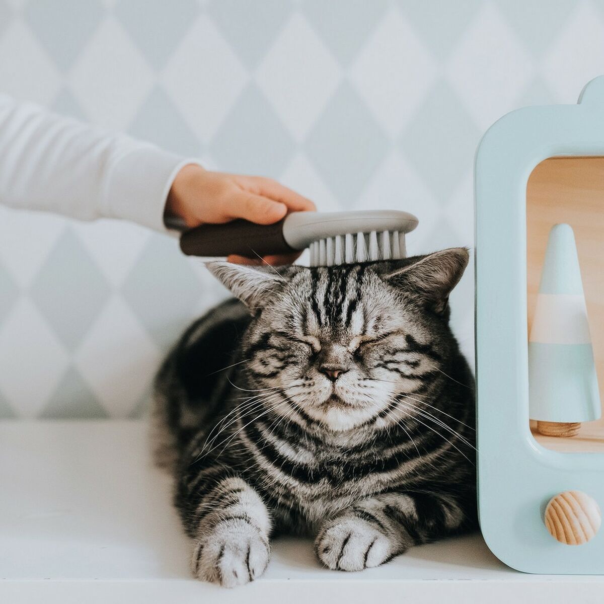 HappyPet™ Extra Soft Dog Brush – Gentle Grooming for Short & Long Hair