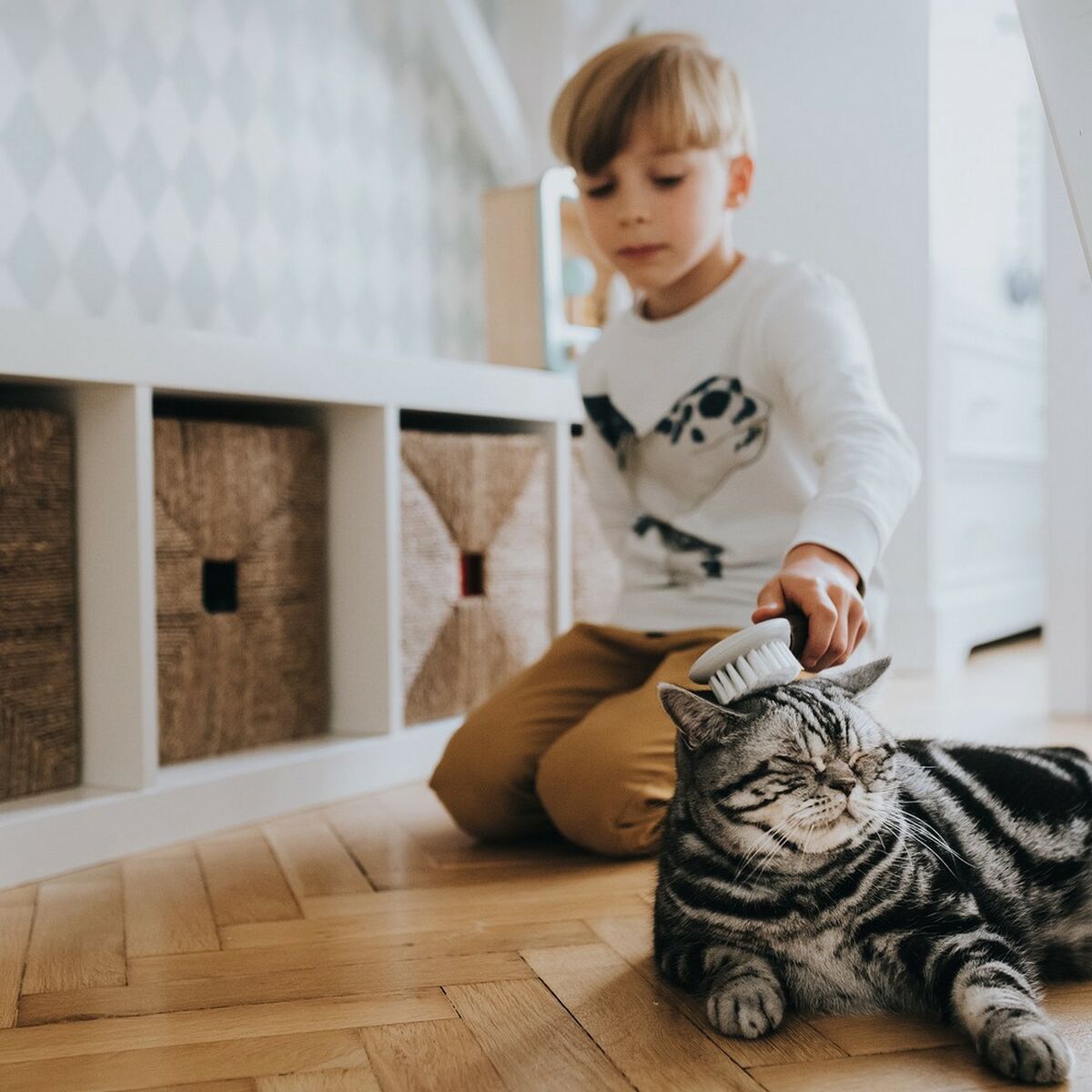 HappyPet™ Extra Soft Dog Brush – Gentle Grooming for Short & Long Hair