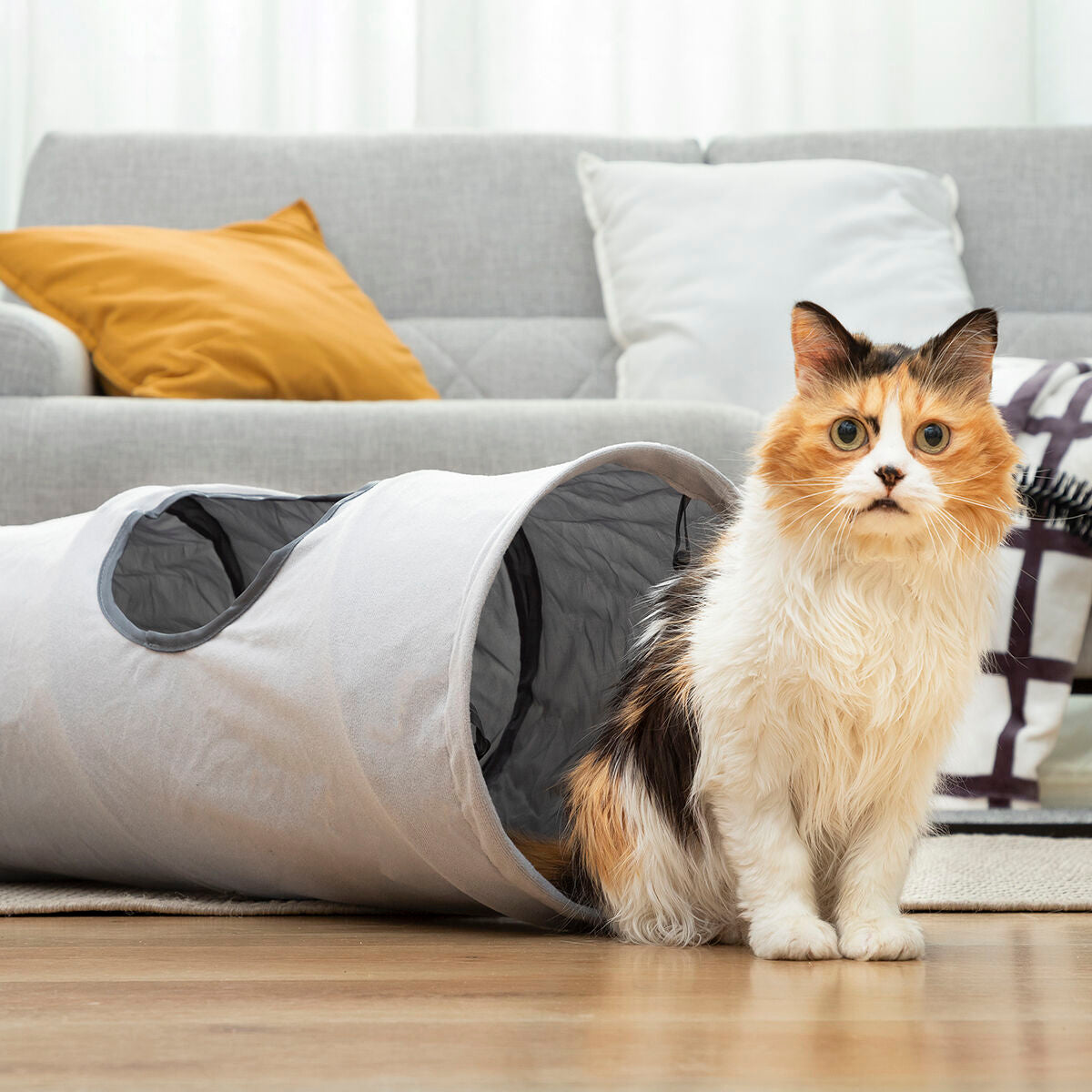 HappyPet™ Collapsible Cat Tunnel – Fun, Play & Relax Tunnel for Indoor Cats