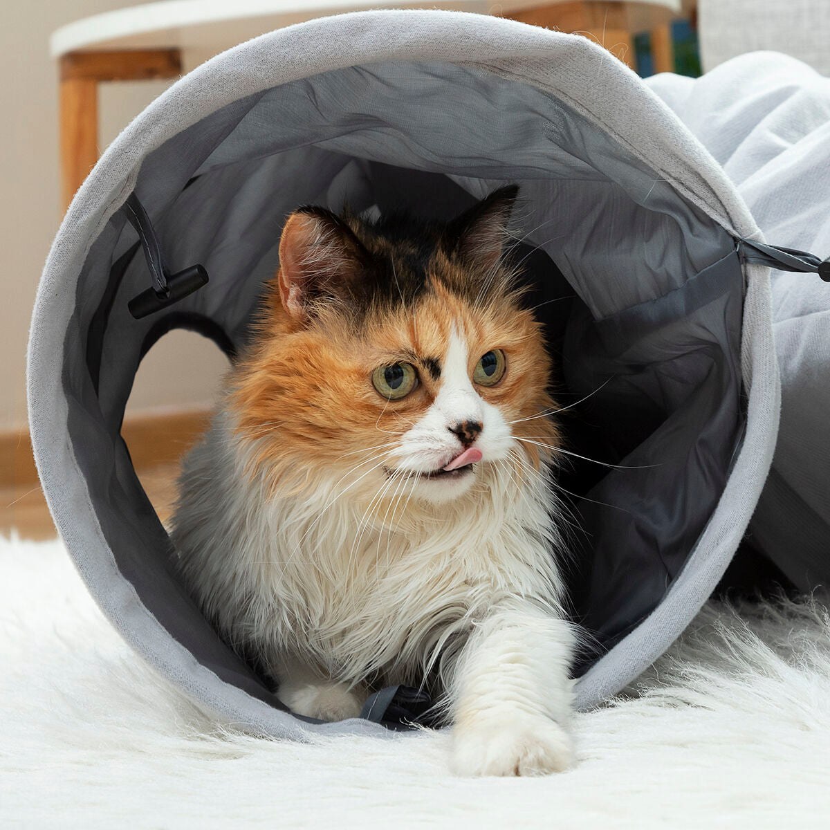 HappyPet™ Collapsible Cat Tunnel – Fun, Play & Relax Tunnel for Indoor Cats