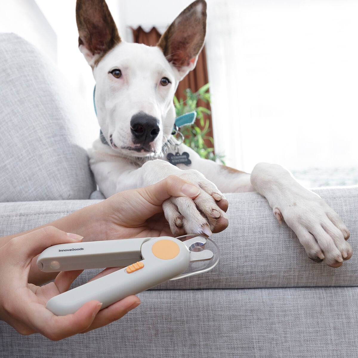 HappyPet™ LED Pet Nail Clippers – Safe & Precision Nail Trimmer for Dogs & Cats